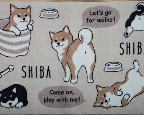 EZ-Care Pet Mat