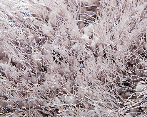 Forestry Shaggy